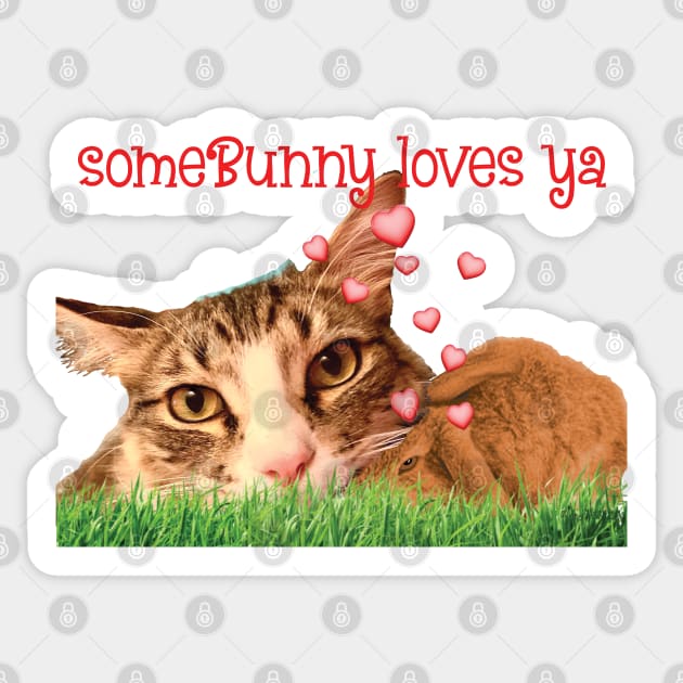 Some Bunny loves you Maine Coon cat Sticker by TanoshiiNeko